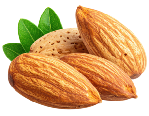 Close-up of almonds with green leaves, showing texture and detail on white background