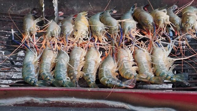 Grilled prawn shrimp seafood street food charcoal grill outdoor cooking fresh shellfish asian cuisine smoky grill rustic barbecue