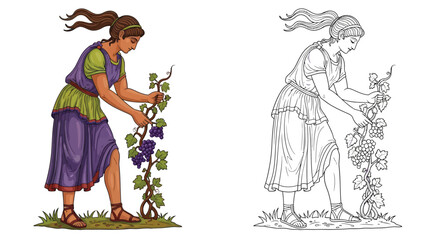 Obraz premium Ancient Woman Picking Grapes in Vineyard Coloring Page Garden Harvest Detailed Illustration