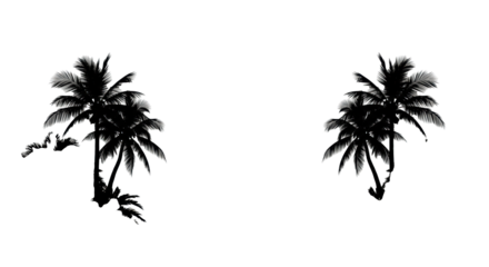 Two stylized black silhouette palm trees with dense tropical foliage, symmetrically framing a vast transparent background with copy space, dark ground line, tropical summer vacation concept