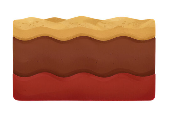 Layered sponge cake with chocolate and cream.