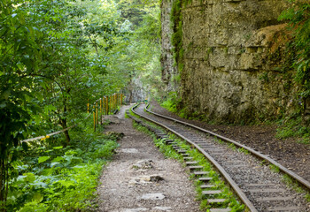 a narrow-gauge railway in a mountain gorge in the summer