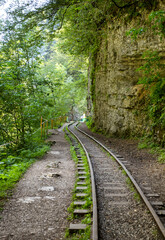 a narrow-gauge railway in a mountain gorge in the summer