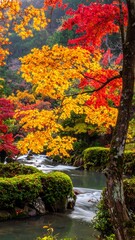 Vibrant autumn scene of colorful foliage, a stream, and trees