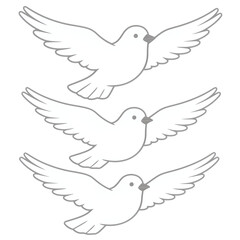 Obraz premium Three flying doves in white with wings spread.