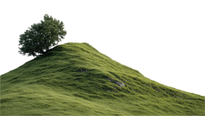 Green hill with tree silhouetted against a black background