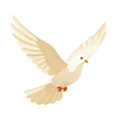 Obraz premium White dove flying with wings spread wide