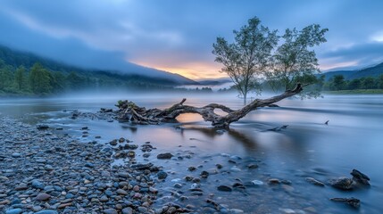 A weathered fallen tree trunk lies partially submerged in a river with exposed water smoothed stones on the eroded bank under a misty morning sky with soft sunrise colors