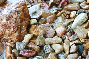 Colorful sea stones on coastline background