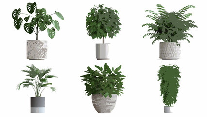 Collection of potted indoor plants featuring varying leaf shapes and textures © Raju