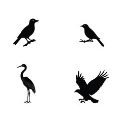 Vector illustration set of bird silhouettes featuring a bullfinch, crow, and sparrow on a winter branch with wildlife nature design elements like wings and beaks for art icons