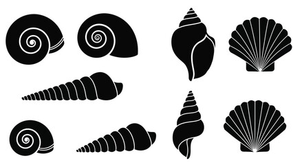 illustration of various seashells including spiral shells conch shells and scallop shells in black style for marine Silhouette vector on whit Background
