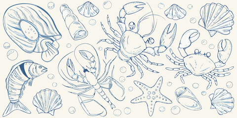 A charming collection of hand drawn marine life and seashells in blue