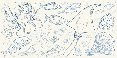 A delicate sketch of various marine life including fish crabs and shells © Tusar