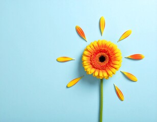 Creative Top View of Yellow Gerbera Daisy with Scattered Petals on Pastel Blue Background