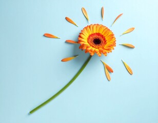 Creative Top View of Yellow Gerbera Daisy with Scattered Petals on Pastel Blue Background