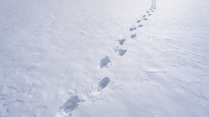 Step in snowy winter path. Footsteps in fresh snow. Walking steps on frozen trail. Frosty steps in...