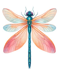 Watercolor Dragonfly with Orange and Blue Wings isolated on a transparent background