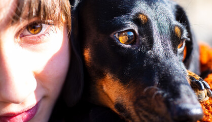 Eye connection shows how deep emotional trust. Eye dog comparison empathy and connection. Eye...