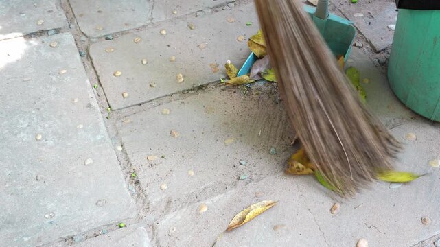 Collecting dry leaves and wax apples with a traditional Khmer broom into a green plastic dustpan, Cambodia