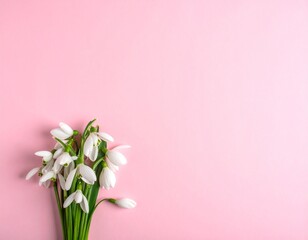 Creative Top View of White Snowdrop Flowers on Pastel Pink Background with Copy Space