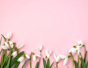 Creative Top View of White Snowdrop Flowers on Pastel Pink Background with Copy Space