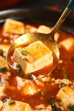 Authentic Mapo Tofu - Traditional Chinese Spicy Tofu Dish