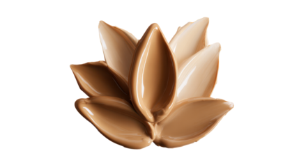 Cosmetic foundation swatches arranged into a delicate lotus shape, showcasing a range of liquid and cream shades and textures on a transparent background for beauty product display
