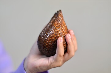 Exotic Fruit: A hand delicately cradles a unique fruit, showcasing its textured, scaled exterior. The image emphasizes the fruit's singular form and natural aesthetic appeal.