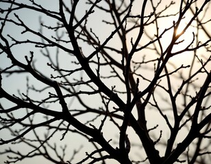 Vibrant Closeup Twisted Tree Branches Sunlight