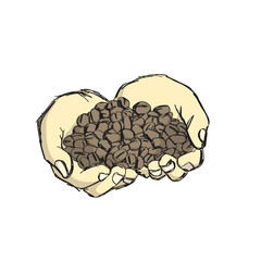 two hands holding coffee beans illustration vector sketch with black lines