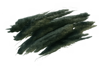 Green watercolor brush strokes forming an abstract organic texture with transparent background