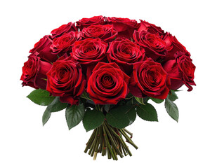 Fresh red rose bouquet with short stems, isolated on white and transparent.