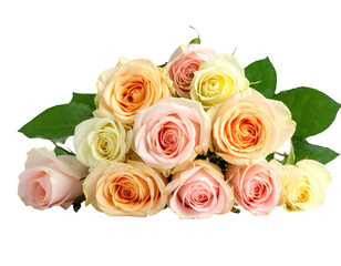 Pastel colored watercolor rose bouquet with soft edges,white background.