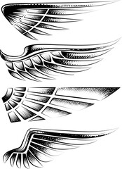 Tattoo wing design element set