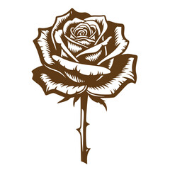 Vintage Brown rose illustration with thorns on stem and leaves on transparent background