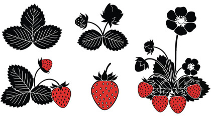 A set of strawberry illustrations including leaves, flowers, and ripe red fruit on transparent background