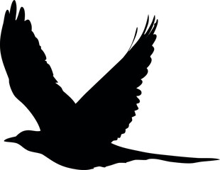 Detailed vector illustration of birds created with adobe illustrator software