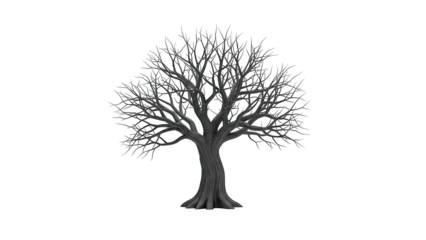 Bare Tree with Intricate Branches