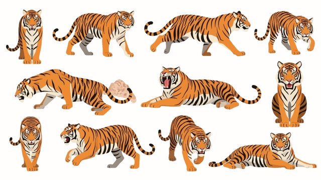 Collection of Bengal tiger vector illustrations showing various poses like walking, running, sitting, and roaring on a white background for wildlife graphic art