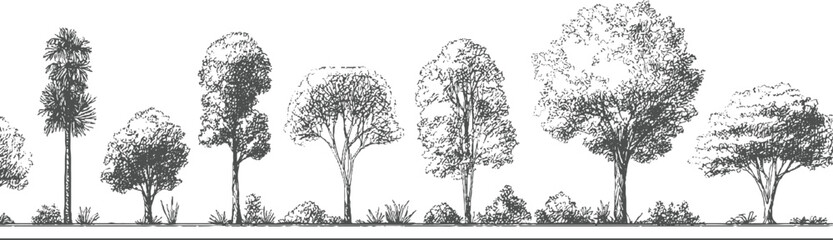 Fototapeta premium Hand drawn of diverse trees and bushes in a row nature plant foliage leaf