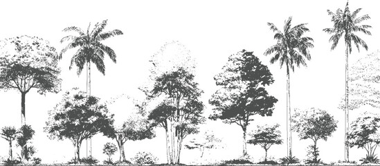 Row of diverse trees and palm trees in a style forest nature silhouette © appl