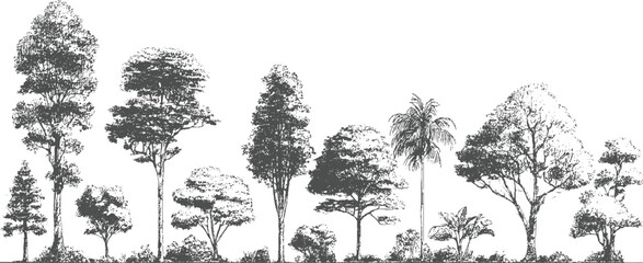 Collection of diverse trees and foliage in a detailed style botanical nature © appl