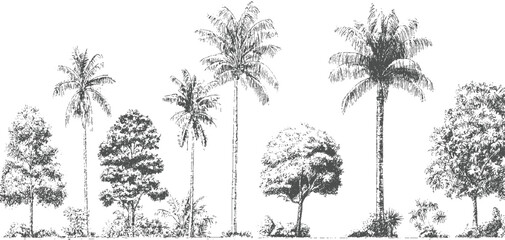 Collection of hand drawn tropical and deciduous trees and foliage palm plant © appl