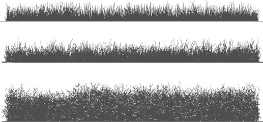 Three rows of dark grey grass silhouettes on white background green nature field © appl