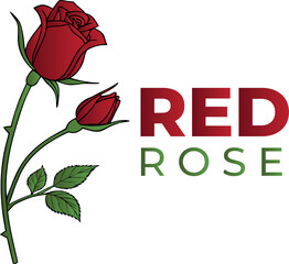 Red Rose Flower Logo Vector Illustration with Bloom, bud And Green Leaves on White Background