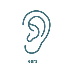 Simple elegant black line drawing of a human ear minimalist outline illustration for medical or anatomical concepts.