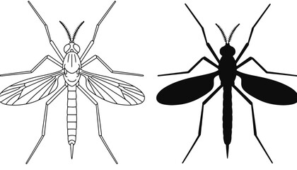 A detailed illustration of a mosquito in both line art and silhouette mode