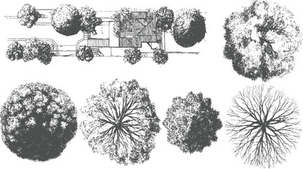 Down view of architectural with trees and house aerial overhead plan © appl