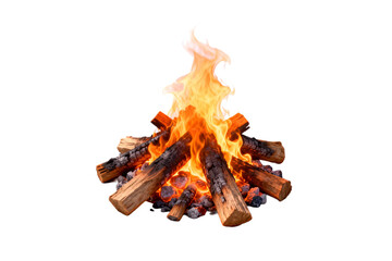 Bright Burning Campfire with Wooden Logs